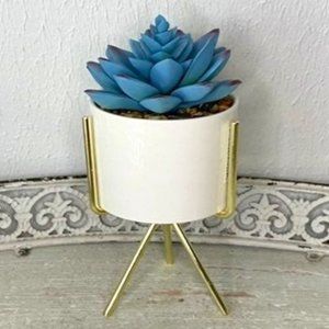 Faux Succulent